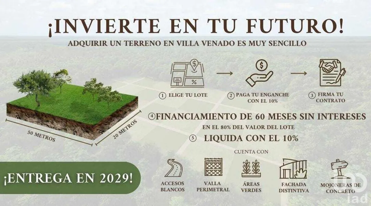 Terreno en Venta en Xucu, Seyé, Yucatán | NEX-267116 | iad México | Foto 3 de 5