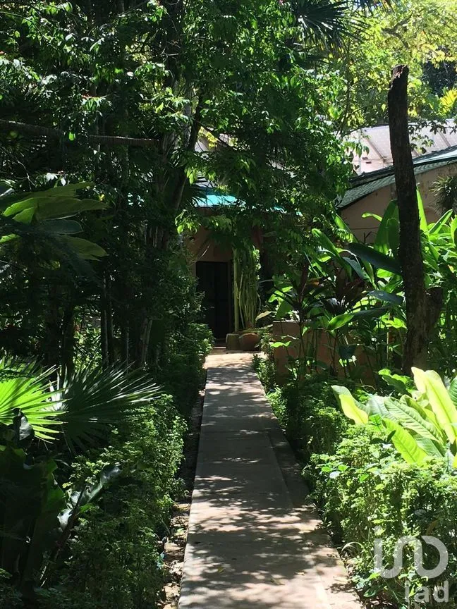 Departamento en Renta en Cholul, Mérida, Yucatán | NEX-267275 | iad México | Foto 7 de 10