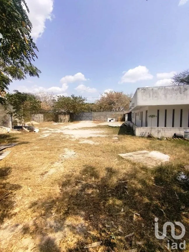 Oficina en Renta en Xcumpich, Mérida, Yucatán | NEX-269439 | iad México | Foto 19 de 19