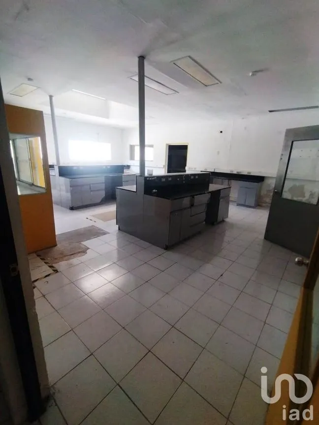 Oficina en Renta en Xcumpich, Mérida, Yucatán | NEX-269439 | iad México | Foto 10 de 19