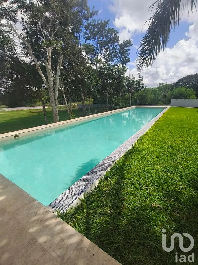 Terreno en Venta en Dzidzilché, Mérida, Yucatán | NEX-272207 | iad México | Foto 1 de 11
