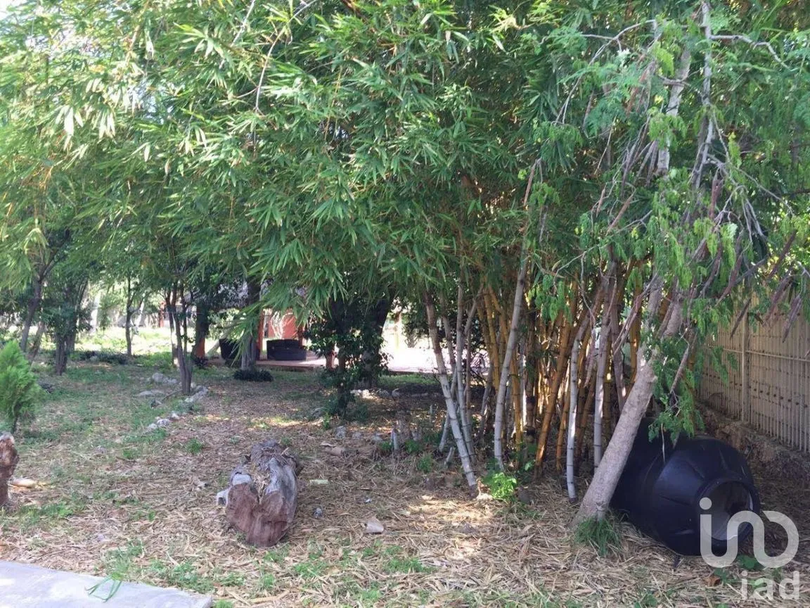 Terreno en Venta en Dzityá, Mérida, Yucatán | NEX-274617 | iad México | Foto 1 de 10