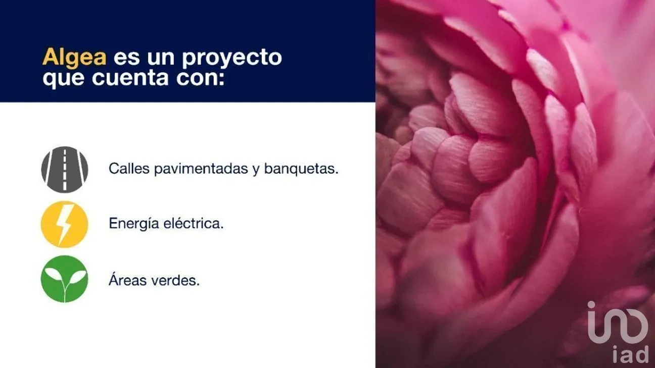 Terreno en Venta en Yaxkukul, Yaxkukul, Yucatán | NEX-274637 | iad México | Foto 4 de 5