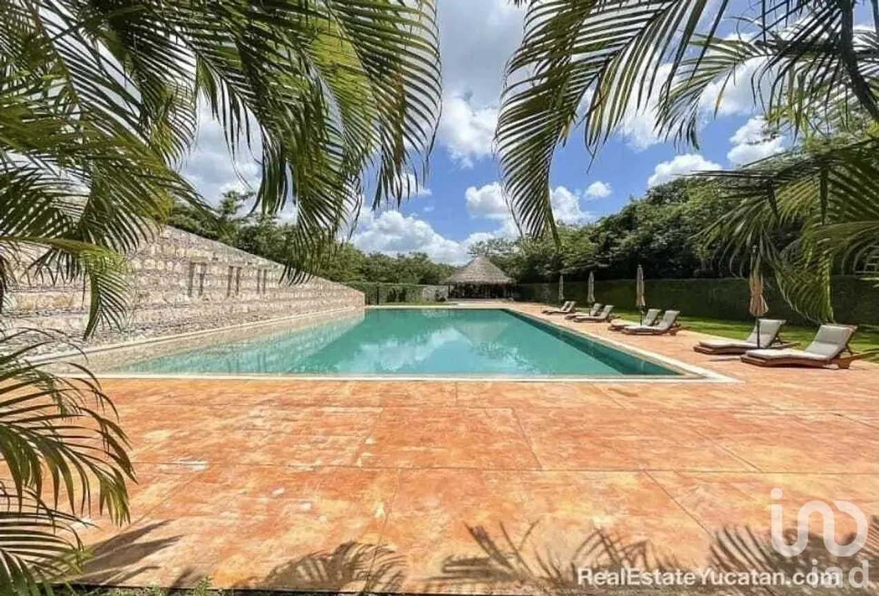 Terreno en Venta en Dzibilchaltún, Mérida, Yucatán | NEX-292236 | iad México | Foto 7 de 8