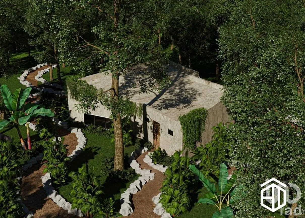 Terreno en Venta en Kinchil, Kinchil, Yucatán | NEX-226879 | iad México | Foto 5 de 10