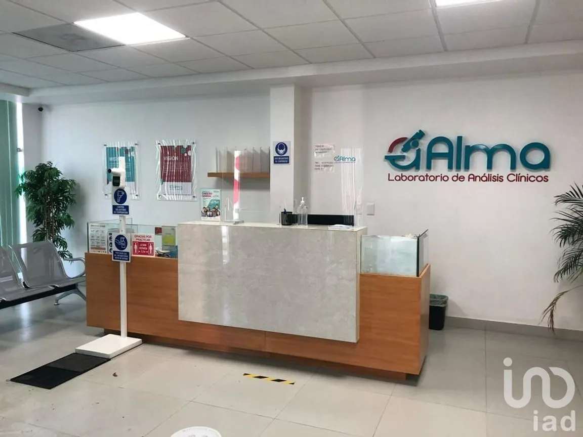 Oficina en Renta en Tampico Altamira, Altamira, Tamaulipas | NEX-201968 | iad México | Foto 5 de 14