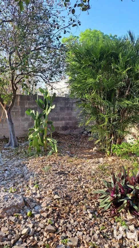 Casa en Venta en Azcorra, Mérida, Yucatán | NEX-226942 | iad México | Foto 13 de 15