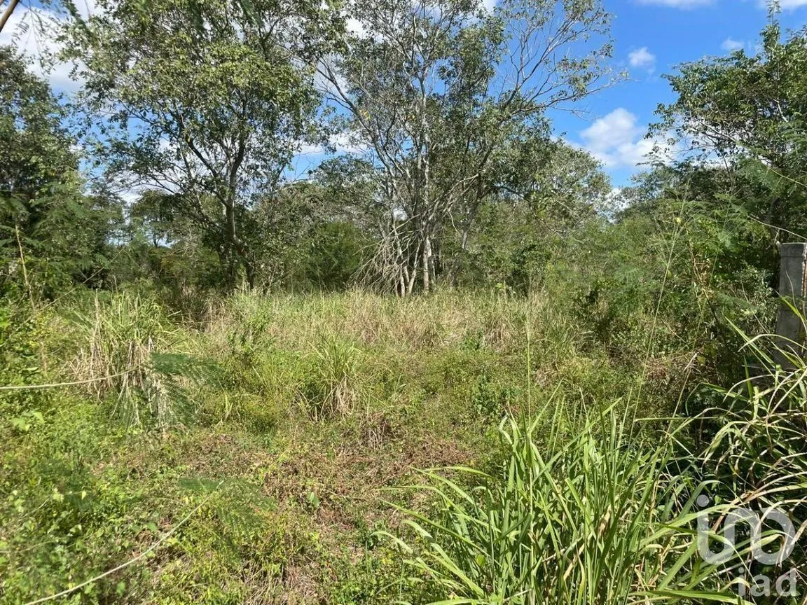 Terreno en Venta en Conkal, Conkal, Yucatán | NEX-228463 | iad México | Foto 11 de 12