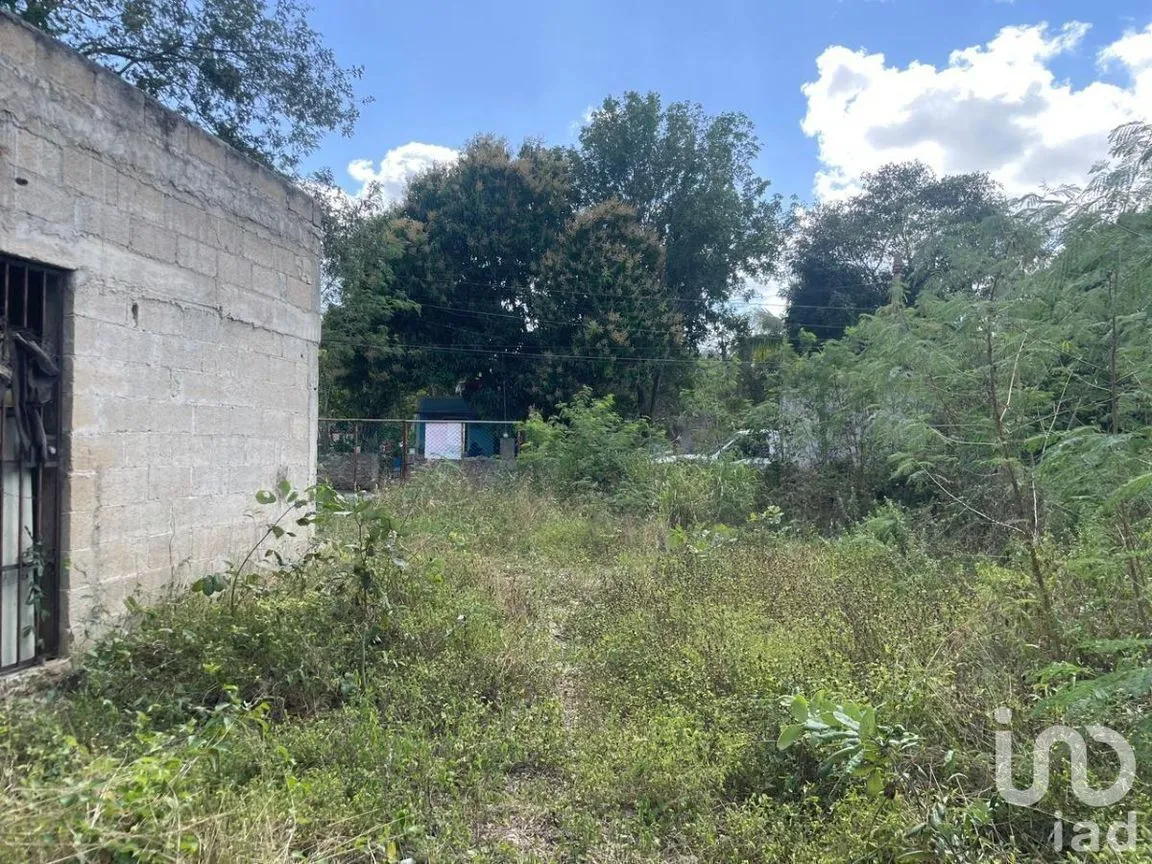 Terreno en Venta en Conkal, Conkal, Yucatán | NEX-228463 | iad México | Foto 4 de 12
