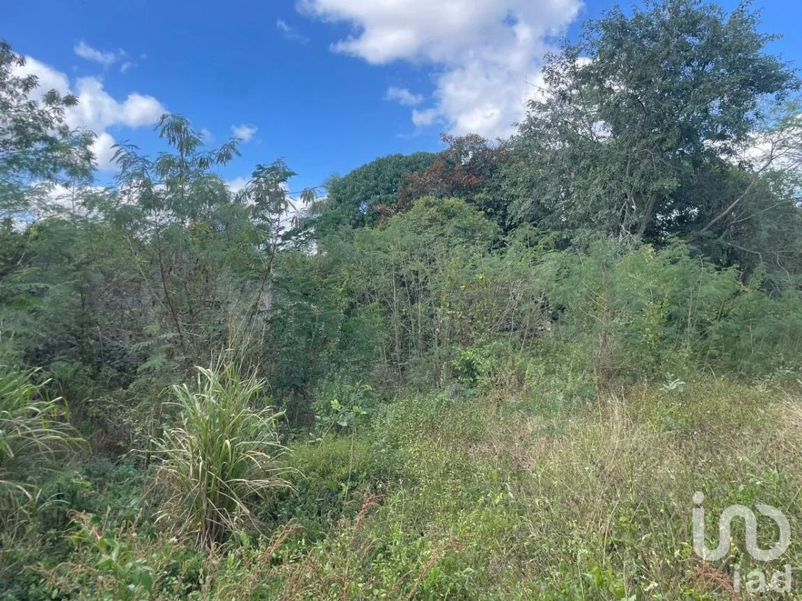 Terreno en Venta en Conkal, Conkal, Yucatán | NEX-228463 | iad México | Foto 8 de 12