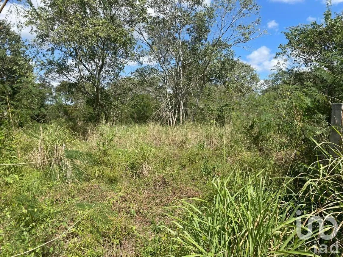 Terreno en Venta en Conkal, Conkal, Yucatán | NEX-228463 | iad México | Foto 9 de 12