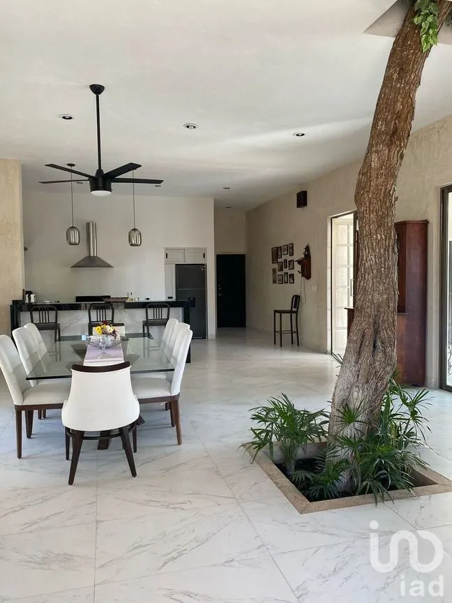 Casa en Venta en Dzibilchaltún, Mérida, Yucatán | NEX-276978 | iad México | Foto 4 de 15
