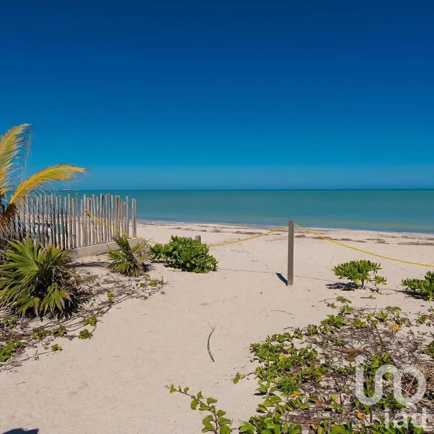 Departamento en Venta en Chicxulub Puerto, Progreso, Yucatán | NEX-278070 | iad México | Foto 14 de 16