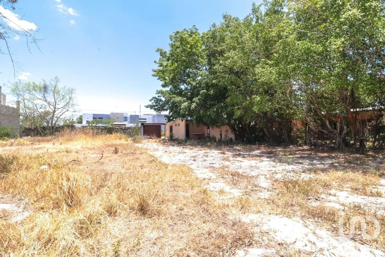 Terreno en Venta en Dzityá, Mérida, Yucatán | NEX-279089 | iad México | Foto 2 de 5