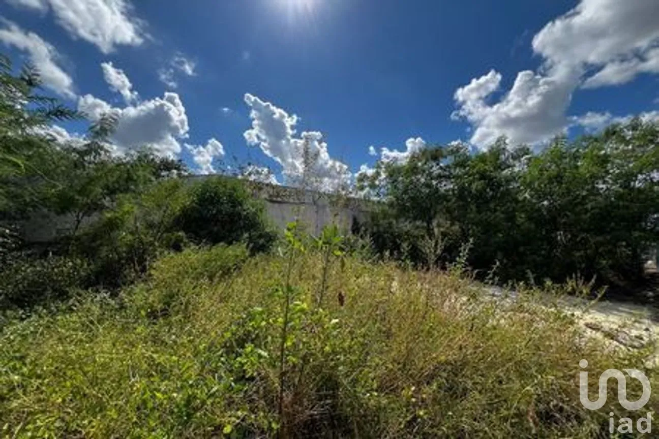 Terreno en Venta en Chichi Suárez, Mérida, Yucatán | NEX-287893 | iad México | Foto 3 de 5