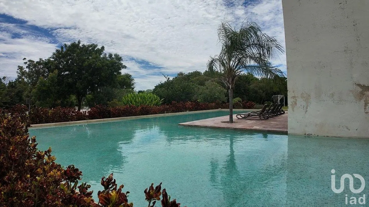 Terreno en Venta en Jardines de Rejoyada, Mérida, Yucatán | NEX-288067 | iad México | Foto 4 de 13