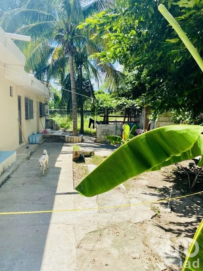 Casa en Venta en Mérida Centro, Mérida, Yucatán | NEX-288078 | iad México | Foto 5 de 12
