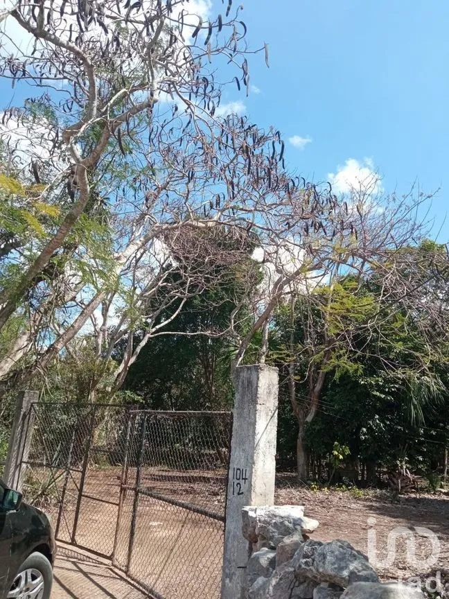 Terreno en Venta en Conkal, Conkal, Yucatán | NEX-266937 | iad México | Foto 2 de 7