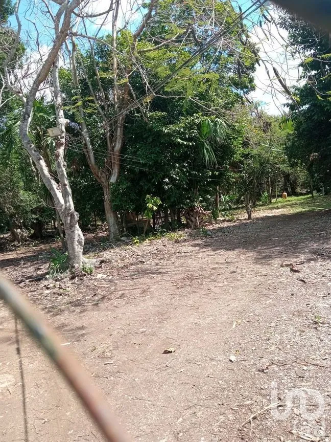 Terreno en Venta en Conkal, Conkal, Yucatán | NEX-266937 | iad México | Foto 3 de 7