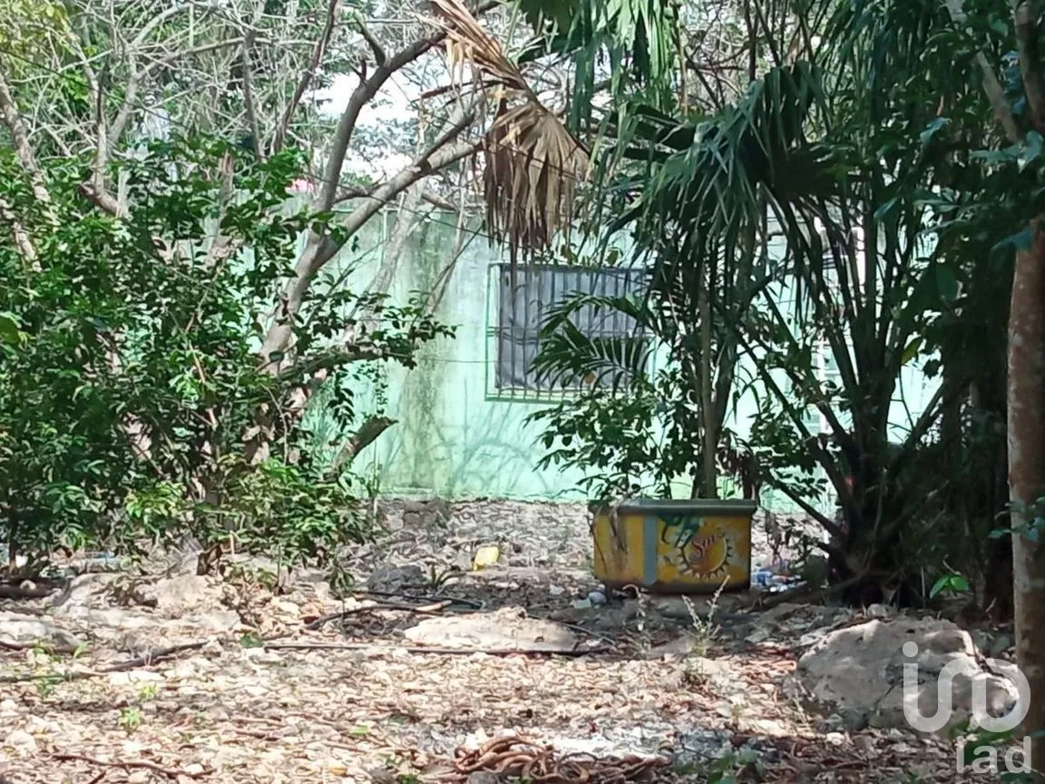 Terreno en Venta en Conkal, Conkal, Yucatán | NEX-266937 | iad México | Foto 6 de 7