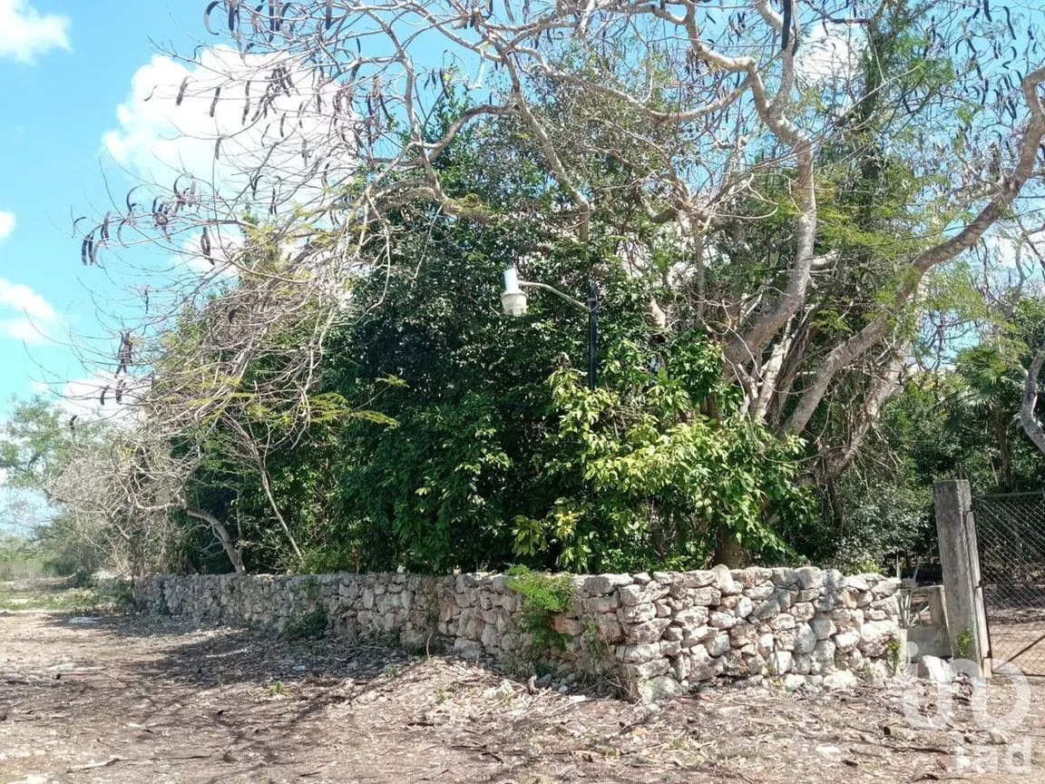 Terreno en Venta en Conkal, Conkal, Yucatán | NEX-266937 | iad México | Foto 1 de 7