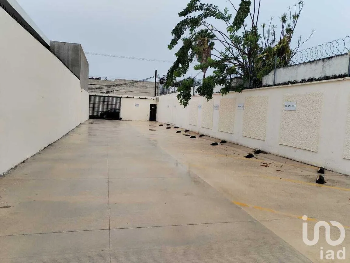 Oficina en Renta en Campestre, Mérida, Yucatán | NEX-271306 | iad México | Foto 15 de 24