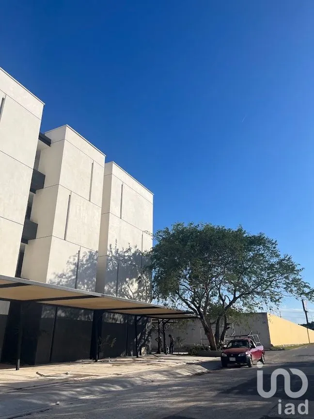 Departamento en Renta en Santa Gertrudis Copo, Mérida, Yucatán | NEX-274981 | iad México | Foto 1 de 20