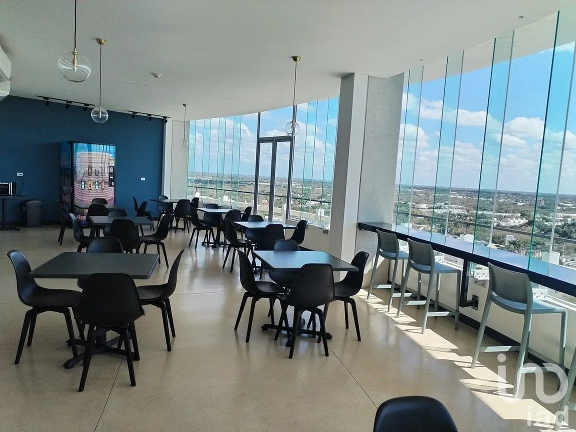 Oficina en Renta en Montebello, Mérida, Yucatán | NEX-285248 | iad México | Foto 5 de 17