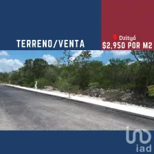 NEX-112146 - Terreno en Venta en Dzityá, CP 97302, Yucatán.