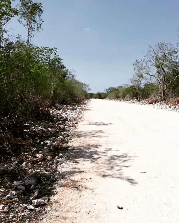 Terreno en Venta en Dzidzilché, Mérida, Yucatán | NEX-230349 | iad México | Foto 4 de 9