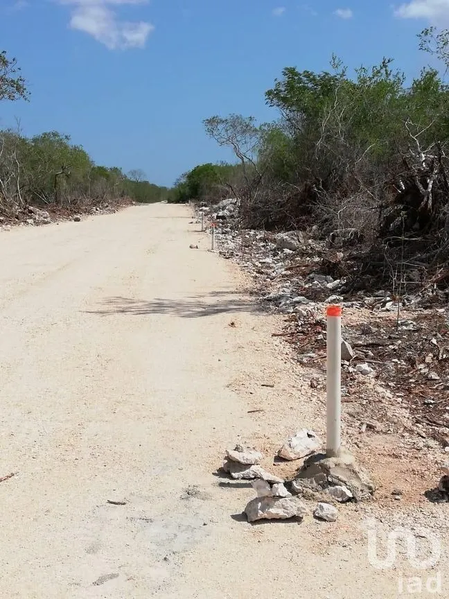 Terreno en Venta en Dzidzilché, Mérida, Yucatán | NEX-230349 | iad México | Foto 6 de 9