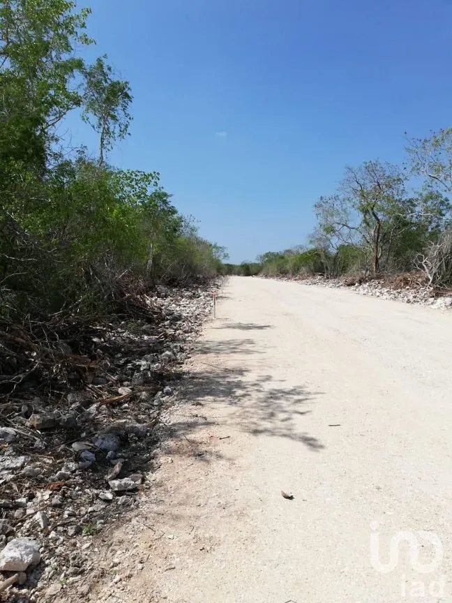 Terreno en Venta en Dzidzilché, Mérida, Yucatán | NEX-230349 | iad México | Foto 7 de 9