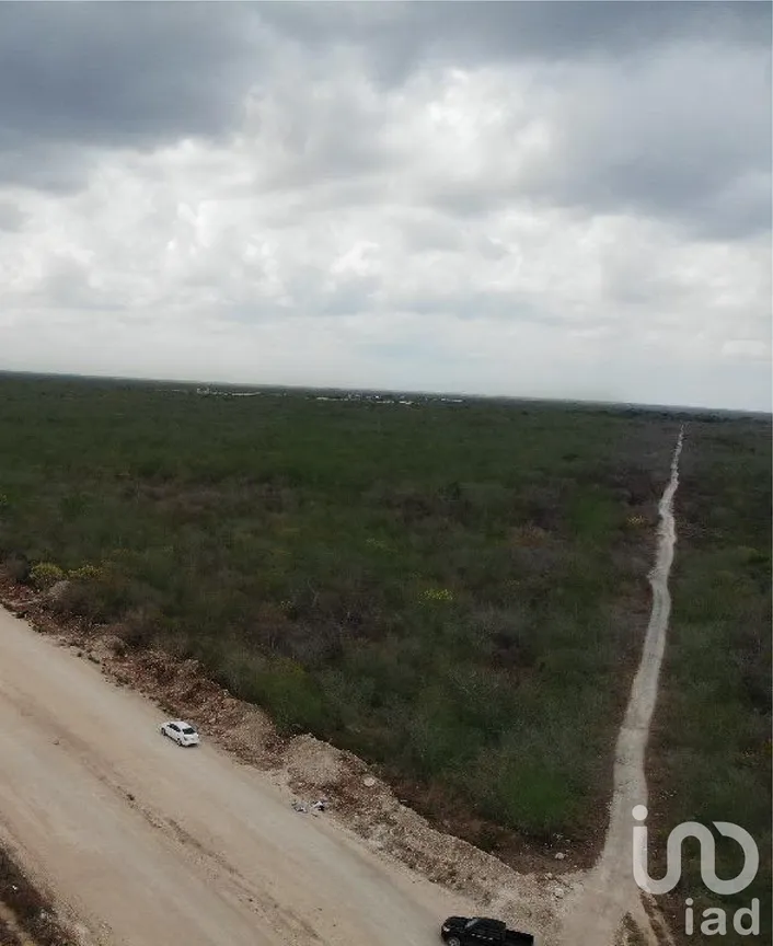 Terreno en Venta en Yaxkukul, Yaxkukul, Yucatán | NEX-230350 | iad México | Foto 3 de 7