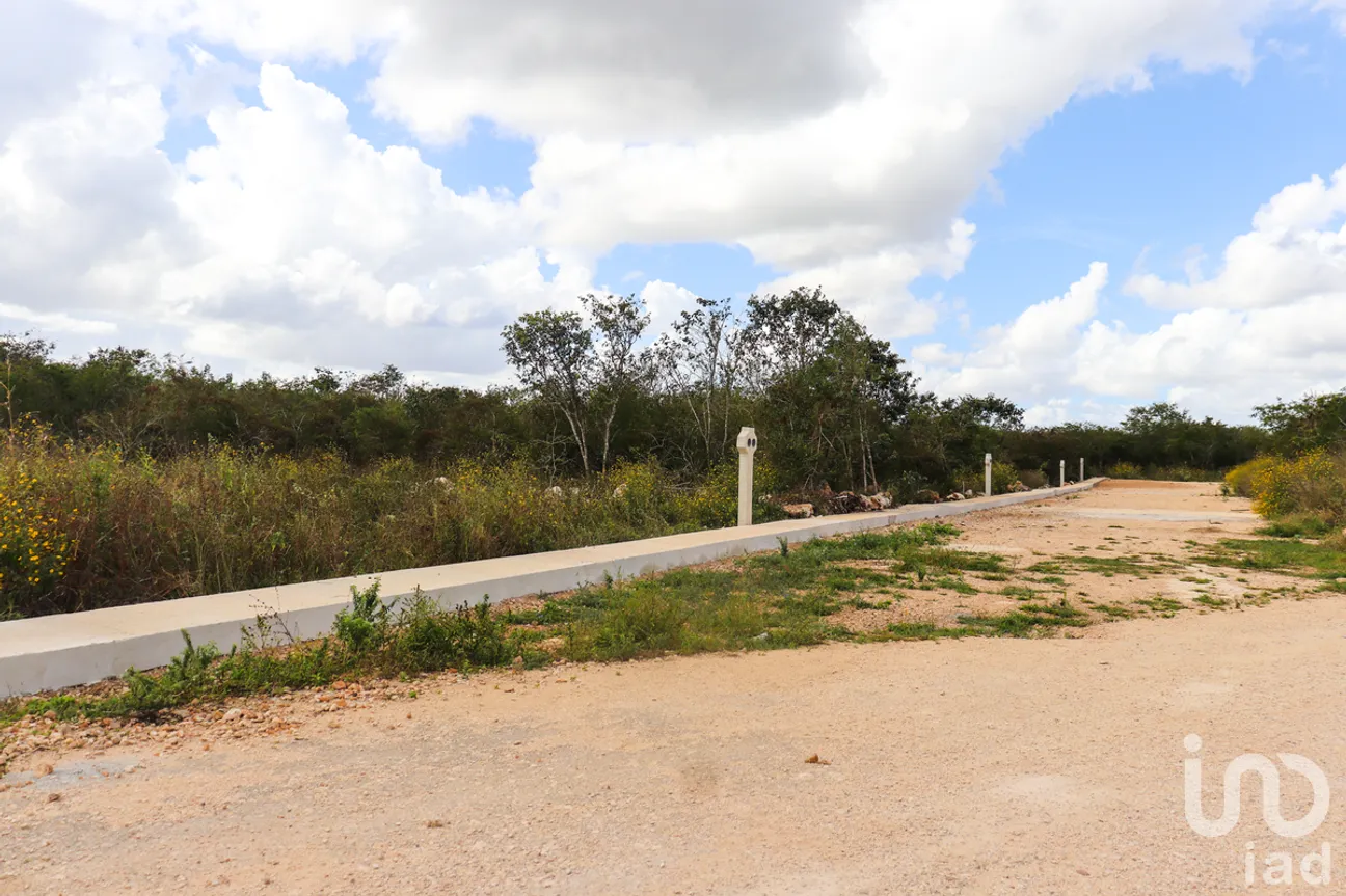 Terreno en Venta en Yaxkukul, Yaxkukul, Yucatán | NEX-230350 | iad México | Foto 7 de 7