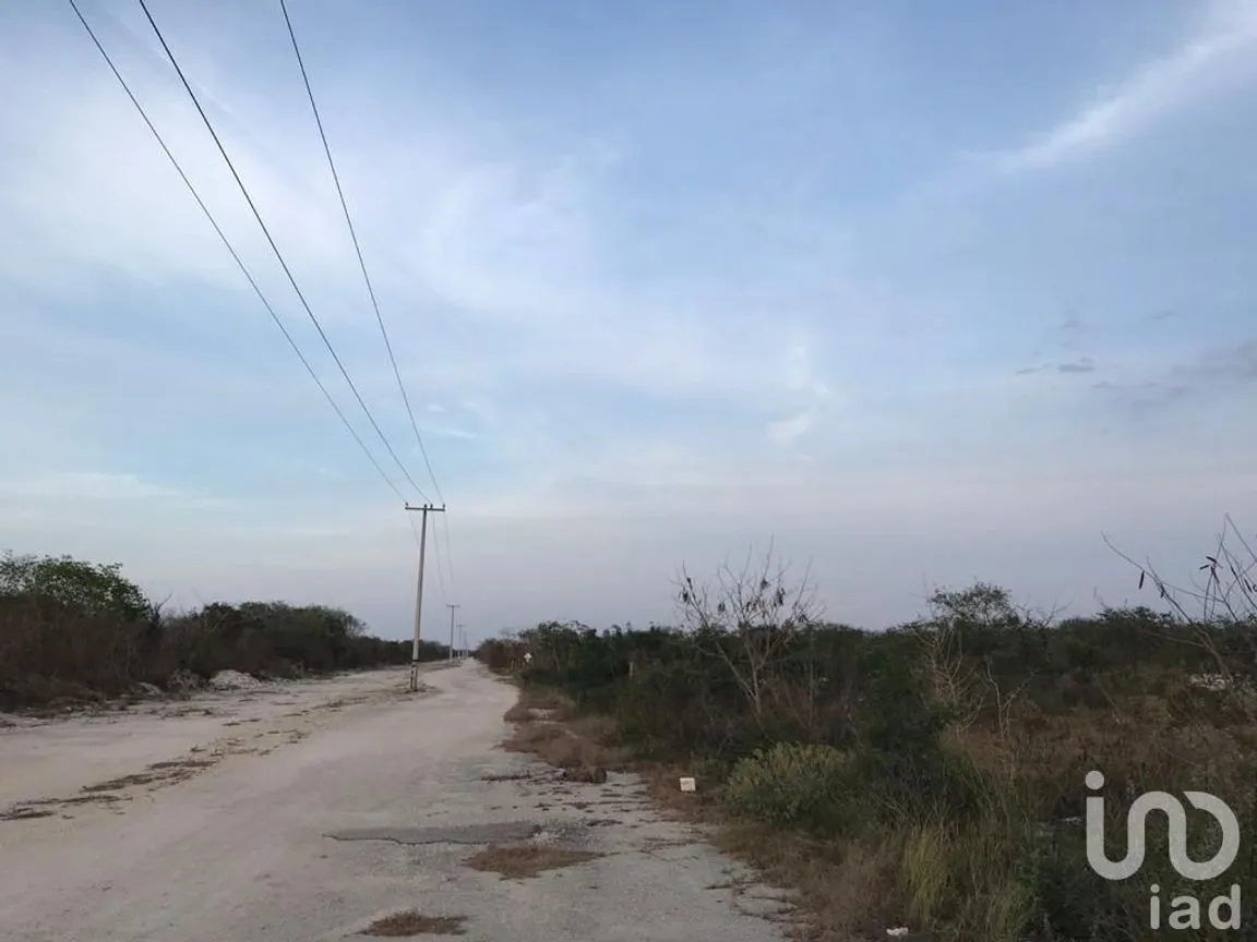 Terreno en Venta en Chicxulub, Chicxulub Pueblo, Yucatán | NEX-230351 | iad México | Foto 7 de 10