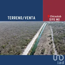 NEX-230351 - Terreno en Venta en Chicxulub, CP 97340, Yucatán.