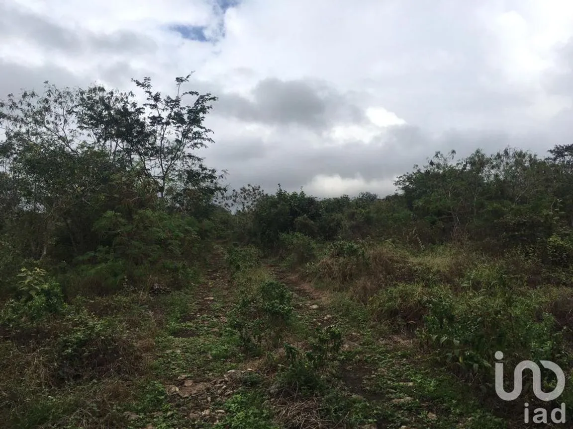 Terreno en Venta en Chicxulub, Chicxulub Pueblo, Yucatán | NEX-230352 | iad México | Foto 2 de 6