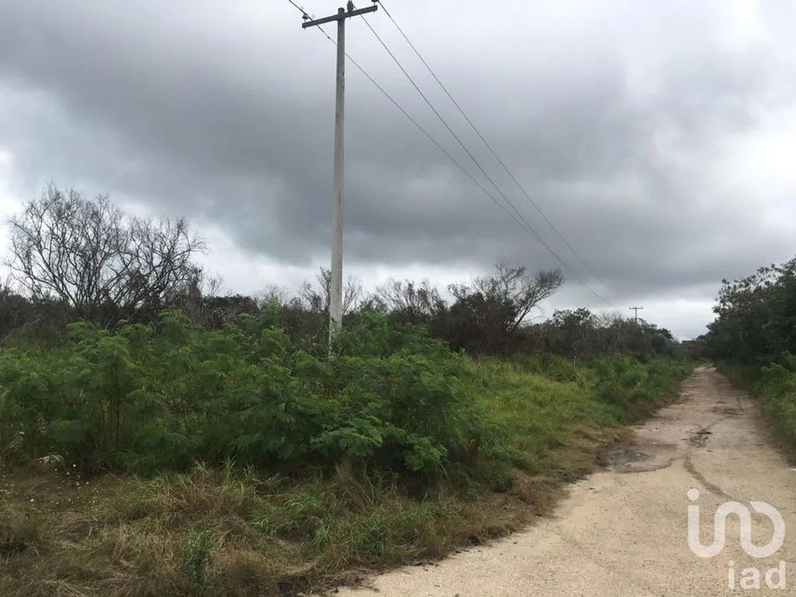 Terreno en Venta en Chicxulub, Chicxulub Pueblo, Yucatán | NEX-230352 | iad México | Foto 3 de 6