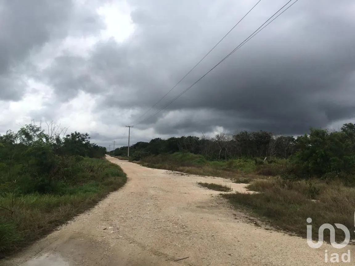 Terreno en Venta en Chicxulub, Chicxulub Pueblo, Yucatán | NEX-230352 | iad México | Foto 5 de 6