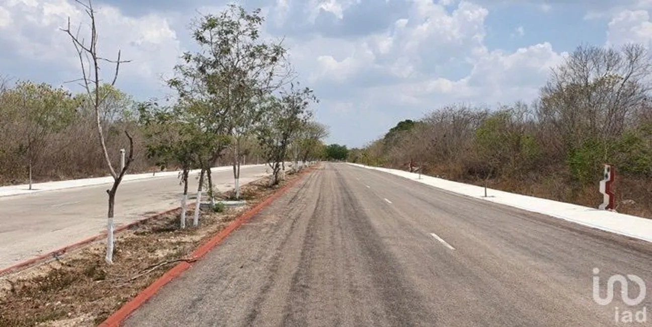 Terreno en Venta en Sierra Papacal, Mérida, Yucatán | NEX-230356 | iad México | Foto 2 de 4