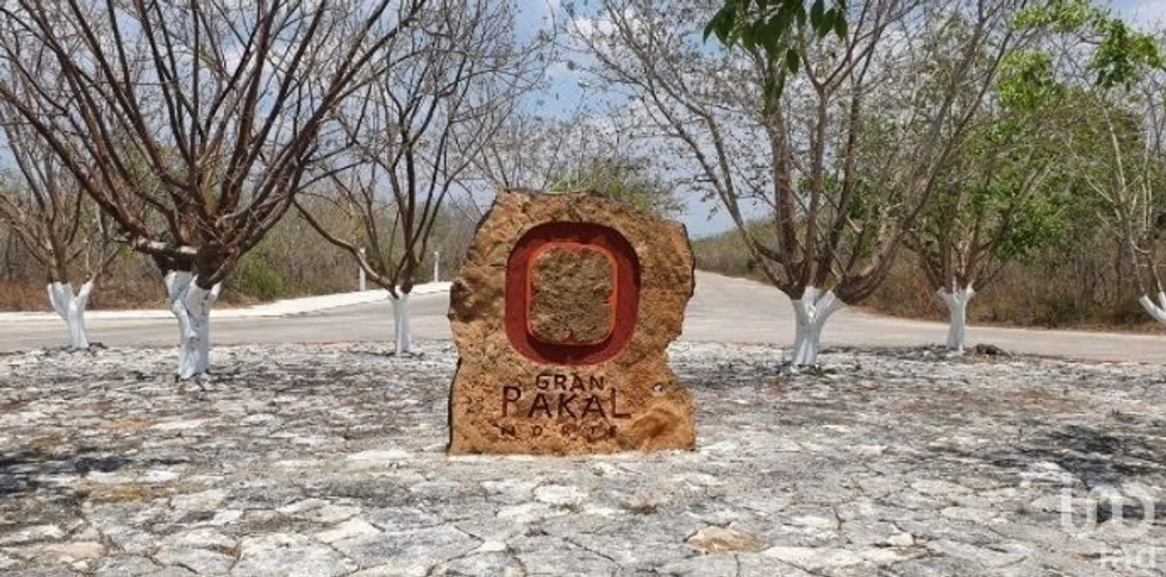 Terreno en Venta en Sierra Papacal, Mérida, Yucatán | NEX-230356 | iad México | Foto 4 de 4