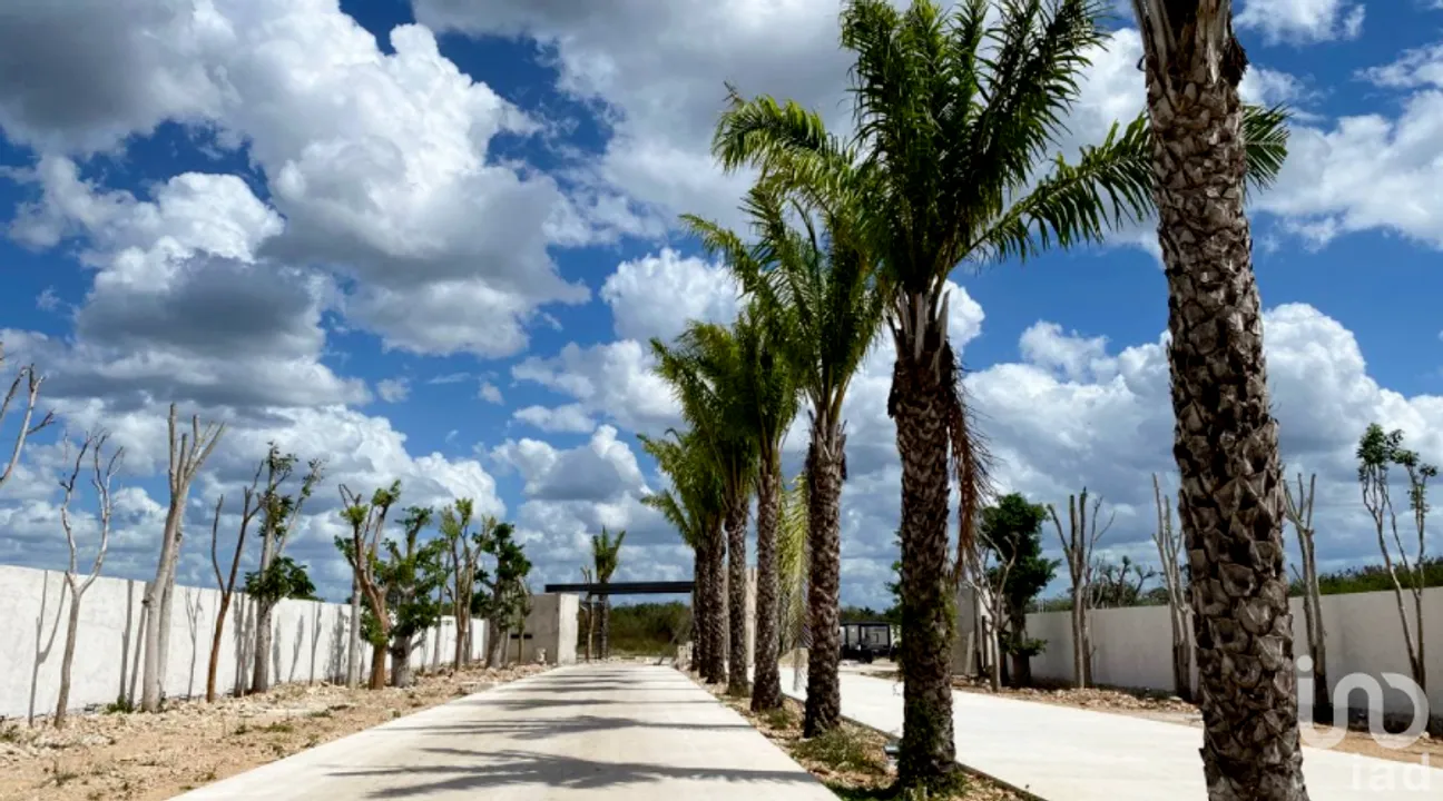 Terreno en Venta en Cholul, Mérida, Yucatán | NEX-230370 | iad México | Foto 11 de 11