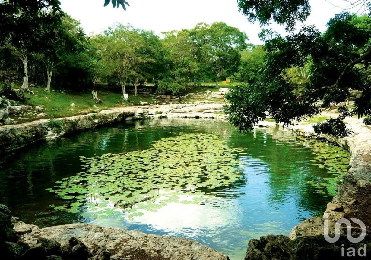 Terreno en Venta en Dzibilchaltún, Mérida, Yucatán | NEX-230671 | iad México | Foto 7 de 15
