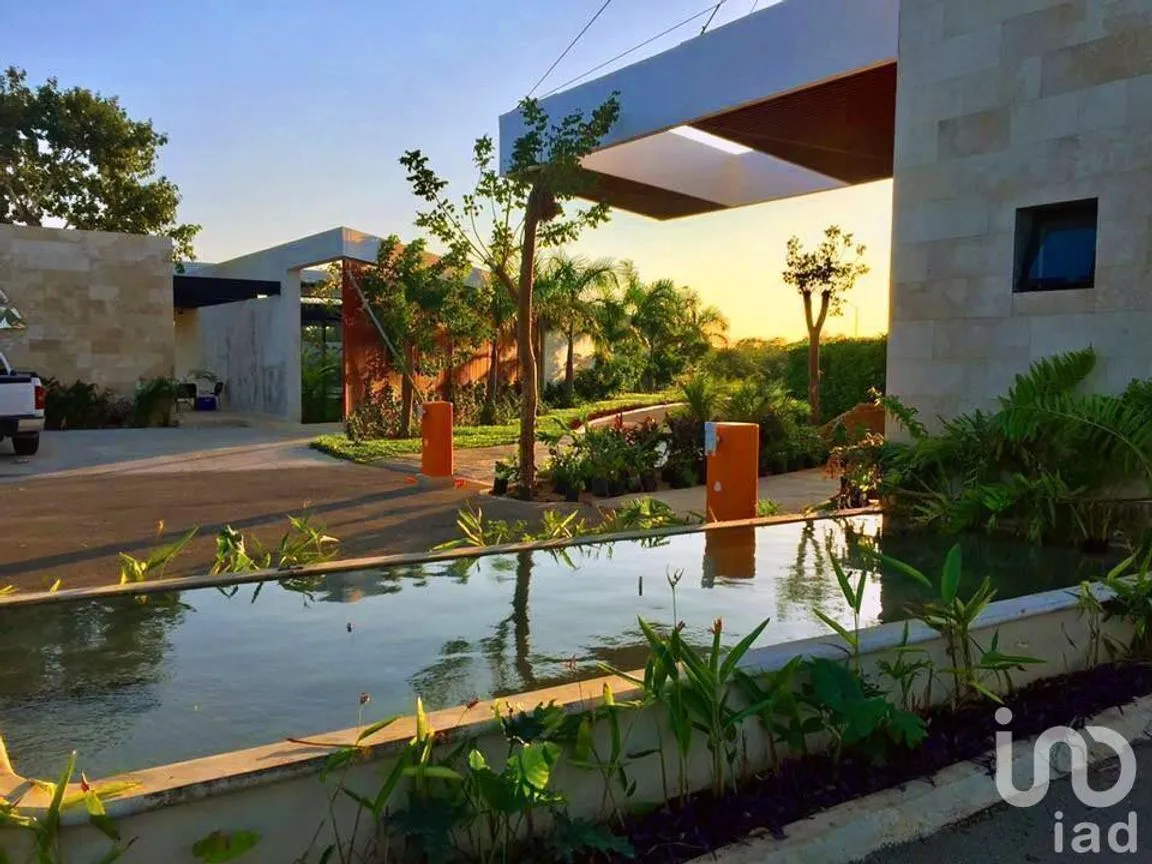 Terreno en Venta en Dzibilchaltún, Mérida, Yucatán | NEX-230677 | iad México | Foto 4 de 6