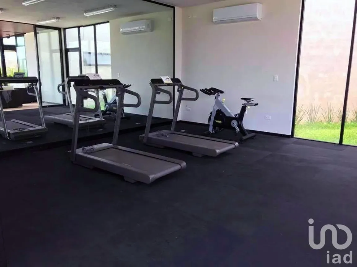 Terreno en Venta en Dzibilchaltún, Mérida, Yucatán | NEX-230677 | iad México | Foto 6 de 6