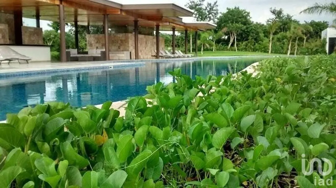 Terreno en Venta en Cholul, Mérida, Yucatán | NEX-230678 | iad México | Foto 7 de 13