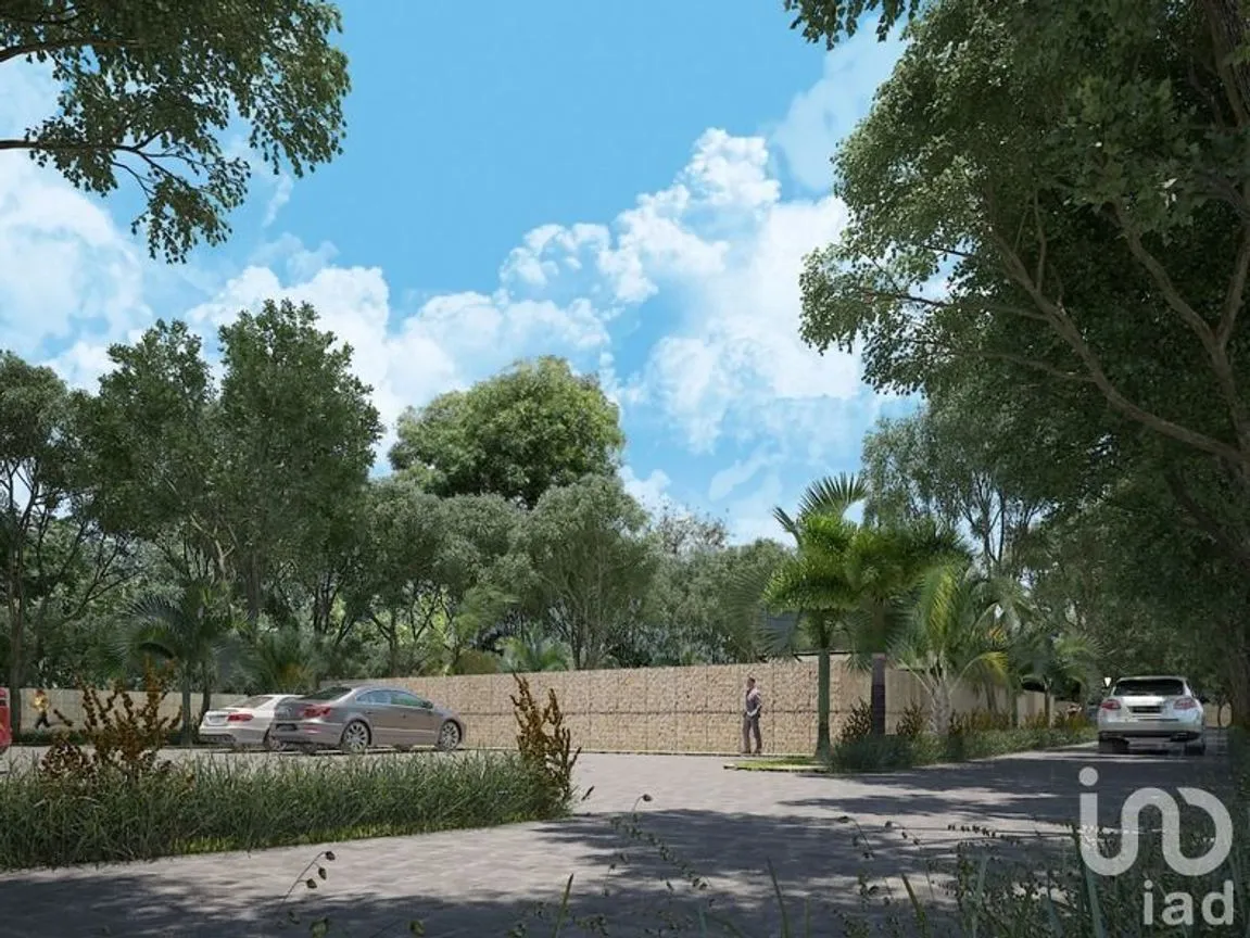 Terreno en Venta en Santa Gertrudis Copo, Mérida, Yucatán | NEX-230689 | iad México | Foto 2 de 12