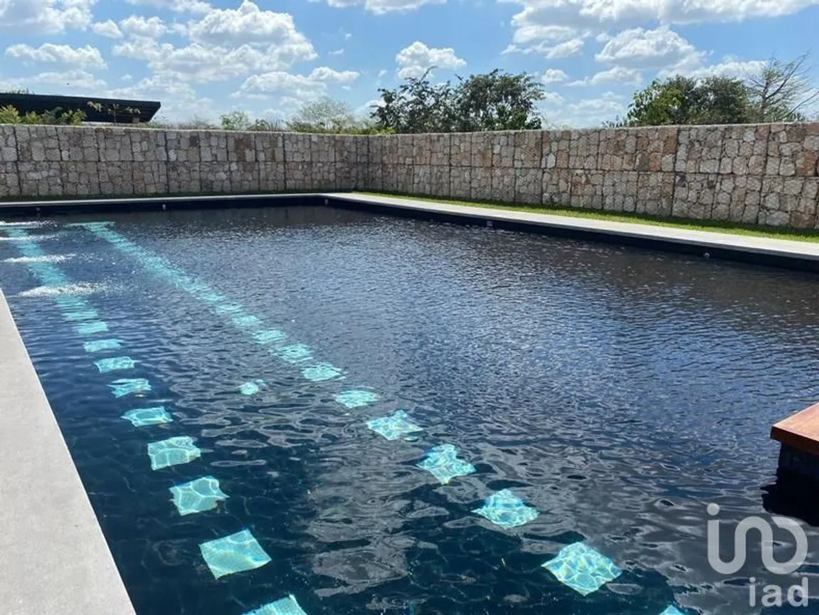 Terreno en Venta en Santa Gertrudis Copo, Mérida, Yucatán | NEX-230689 | iad México | Foto 5 de 12