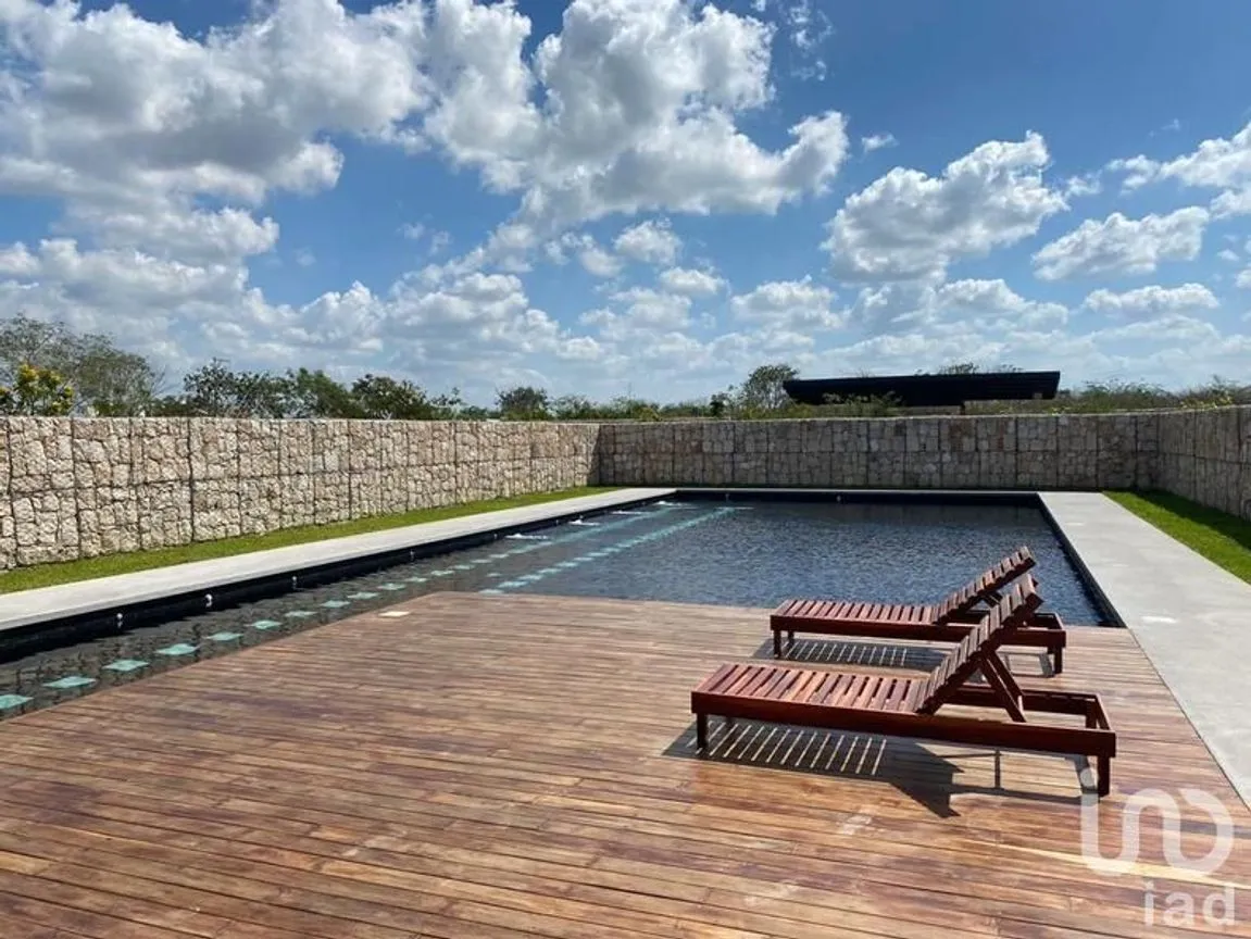 Terreno en Venta en Santa Gertrudis Copo, Mérida, Yucatán | NEX-230689 | iad México | Foto 8 de 12