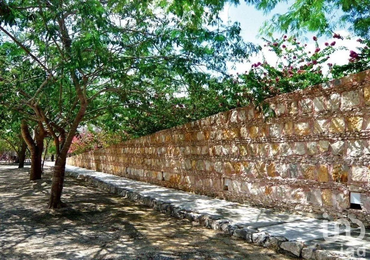 Terreno en Venta en Dzibilchaltún, Mérida, Yucatán | NEX-230696 | iad México | Foto 8 de 15